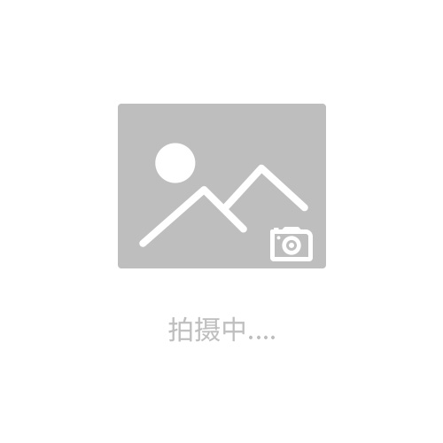 藥品穩定性試驗箱